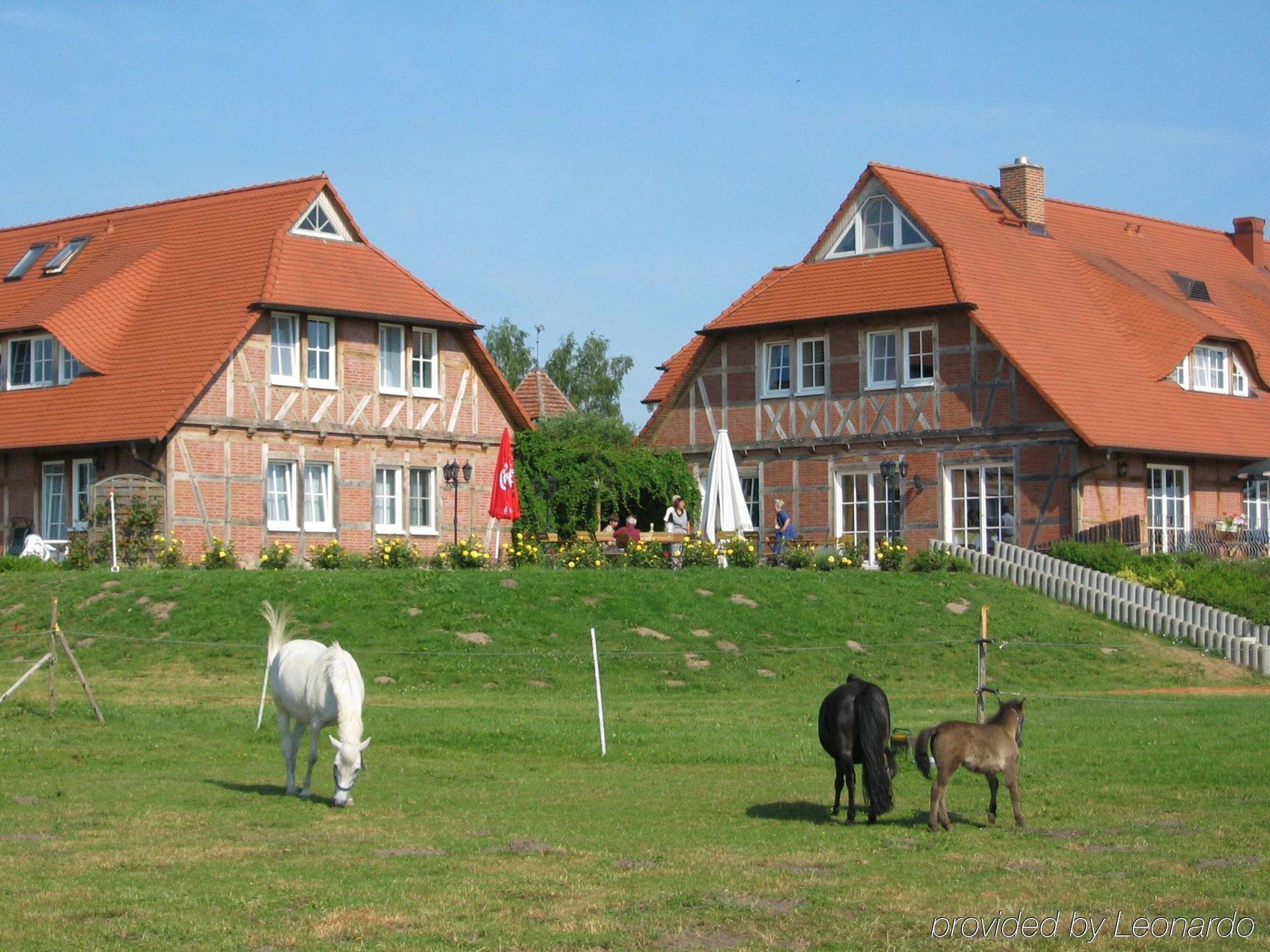 Flair Seehotel Zielow Hotel Ludorf